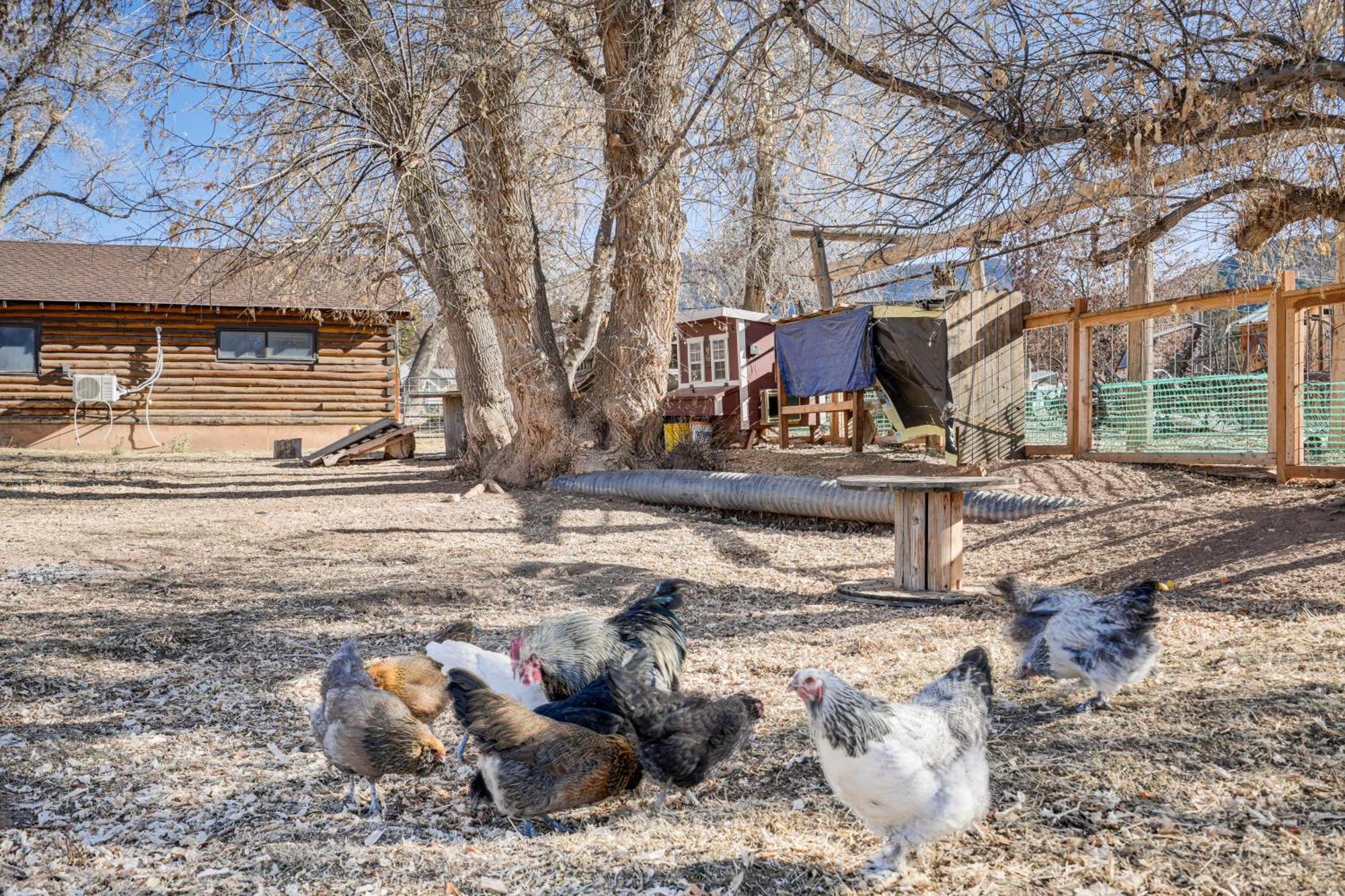Cozy Parowan Studio 12 Mi To Brian Head Resort! Exterior photo